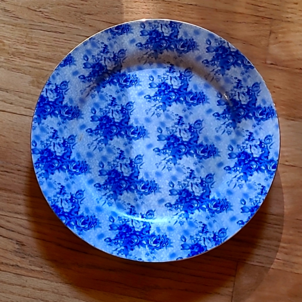 Porcelain Dinner Plates